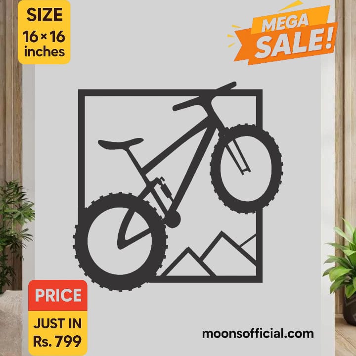 Premium Acrylic Bicycle Design